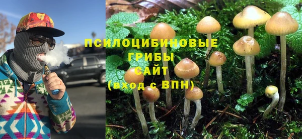 прущий лед Алексеевка