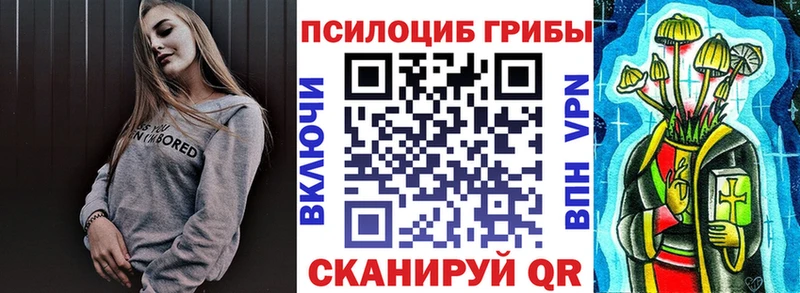 Галлюциногенные грибы MAGIC MUSHROOMS  где купить   маркетплейс как зайти  Всеволожск 